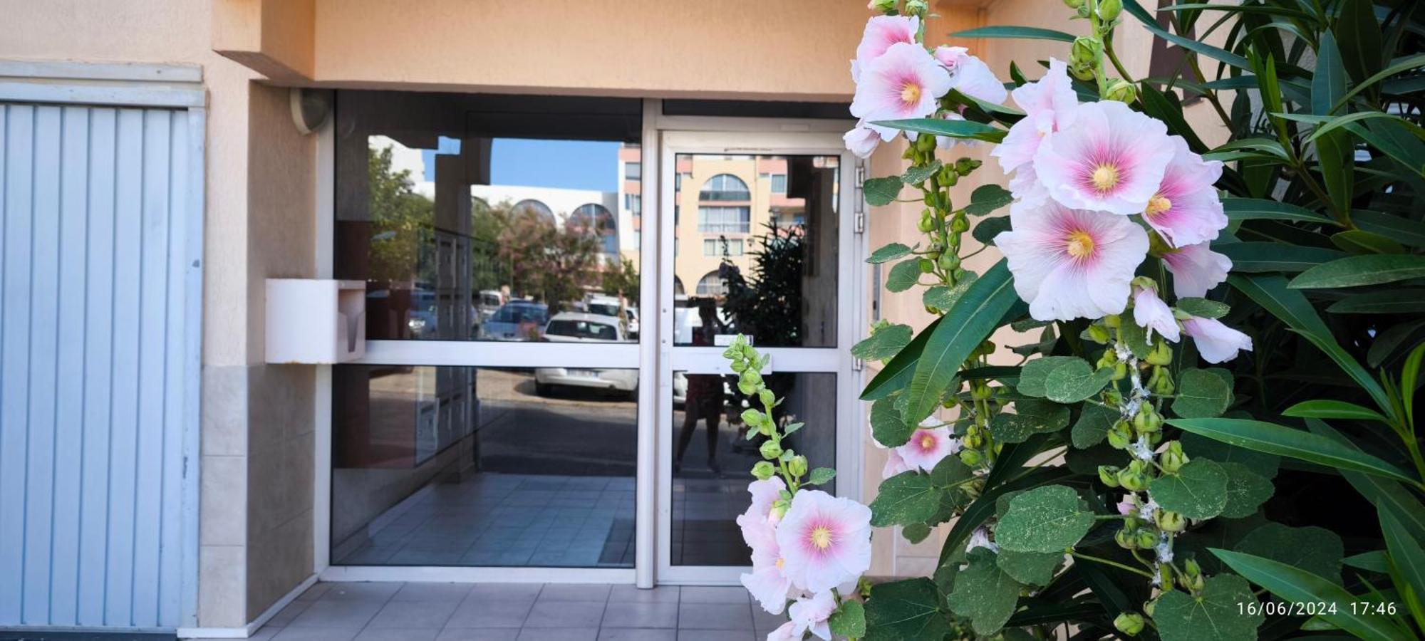 La Perle Marine: Cozy Beachside With Marina View Sete